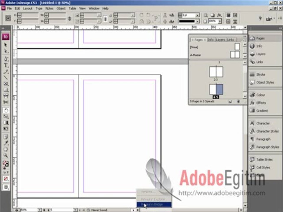 InDesign CS3 Görsel Eğitim Videoları www.alintiyap.net