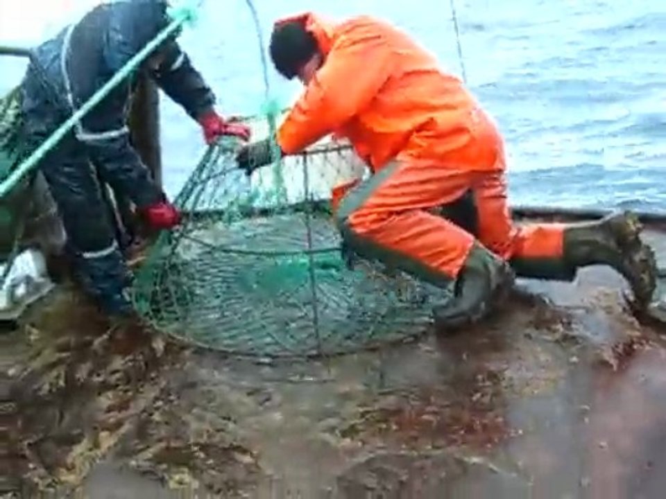 King Crab catching.