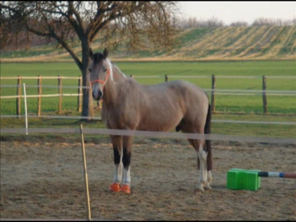 4décembre2009