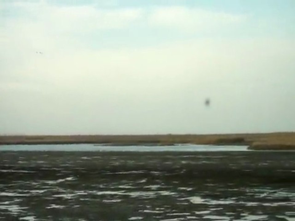 GALA ÖRDEK
