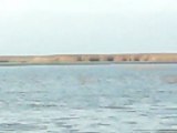 ipsala gala gölü