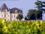 Aquitaine : vignobles bordelais en danger