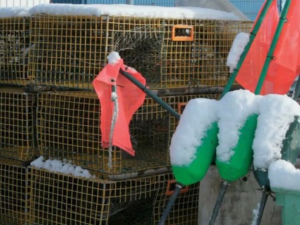 A drive up the coast of New England - First snow of 2009 Hol