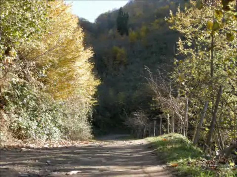 Şenocak Sonbahar Mevsimi