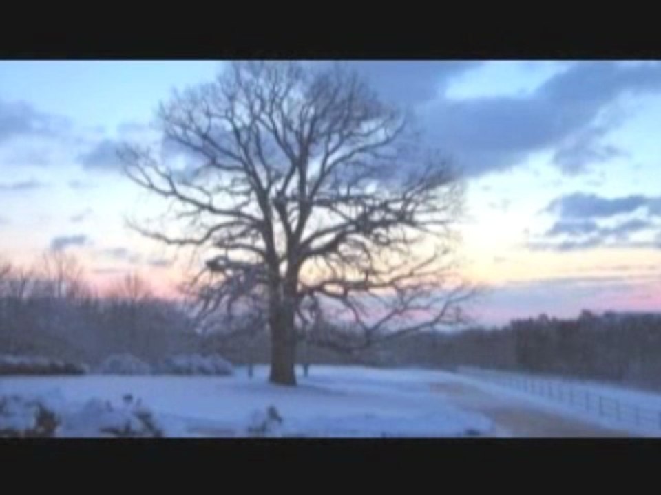 Daim Yusuf Orti - Ayşegül Kolivar