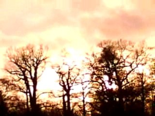 Häger Flying Made Easy 🦩