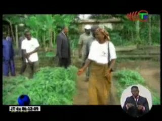 Fruits et légumes desormais disponibles au marché de Ouésso