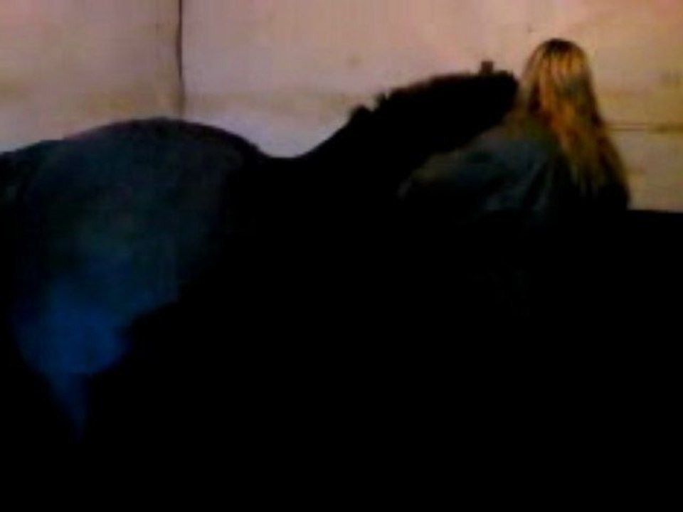 Clipping a horse for winter