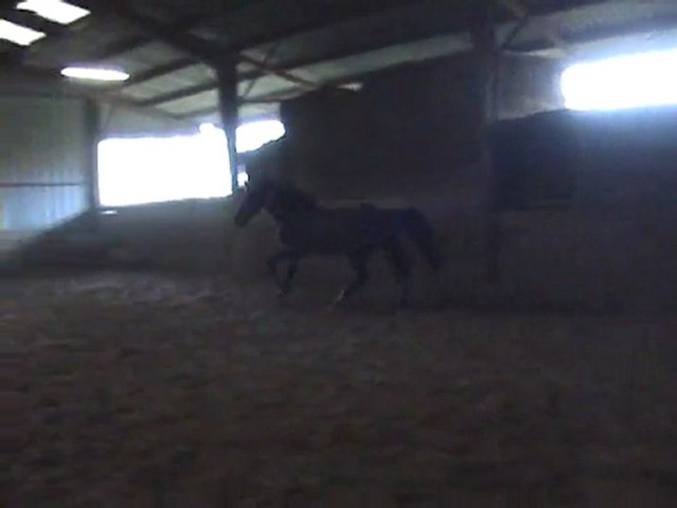 Ramono saut liberté Décembre 2009