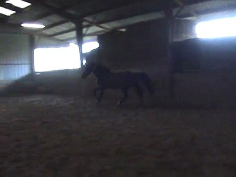 Ramono saut liberté Décembre 2009