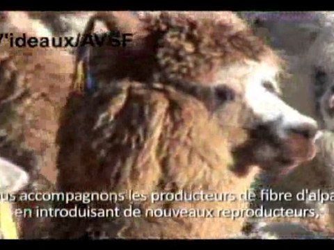 Semaine de la solidarité internationale