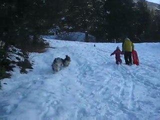 Bunny et Bayou en week end à la neige