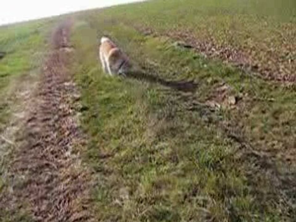 en chemin