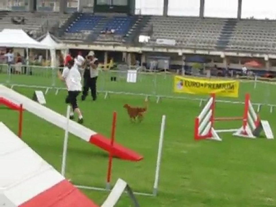 agility gpf expo tampon 2009