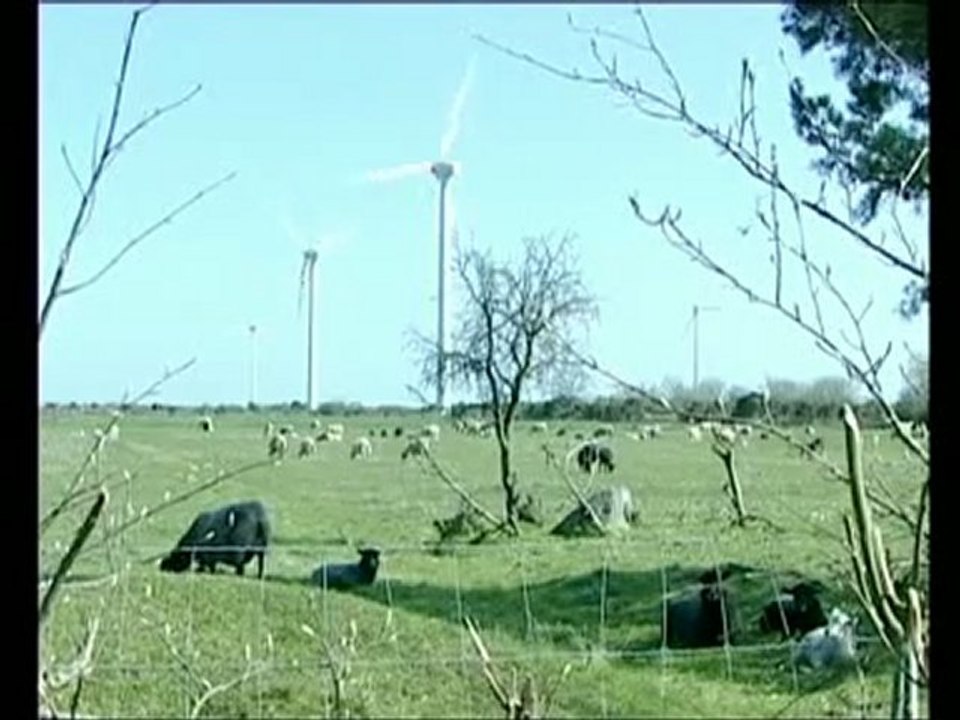 Comienza la Cumbre del Cambio Climático en Copenhague