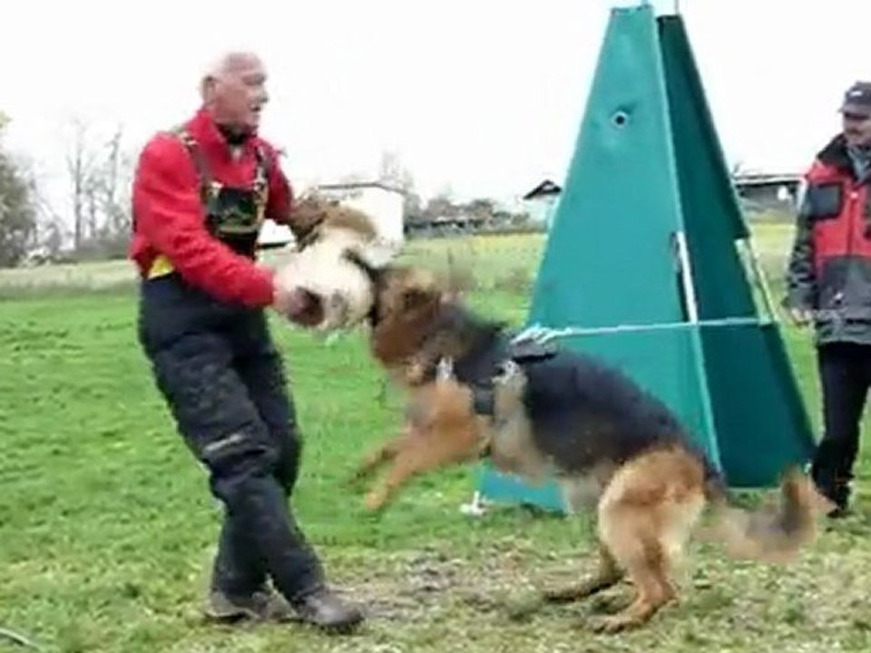 djocker entrainement rci