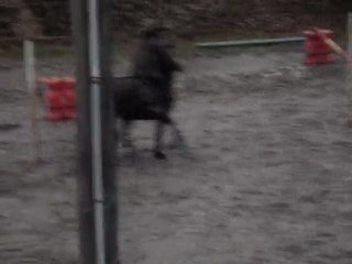 MURIEL EQUI FUN COURTENAY 2009