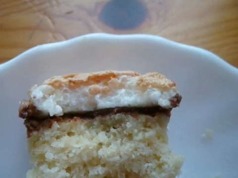 carrés a la noix de coco et chocolat