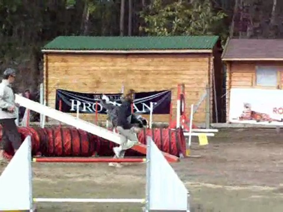 concours asaecmontage_0002