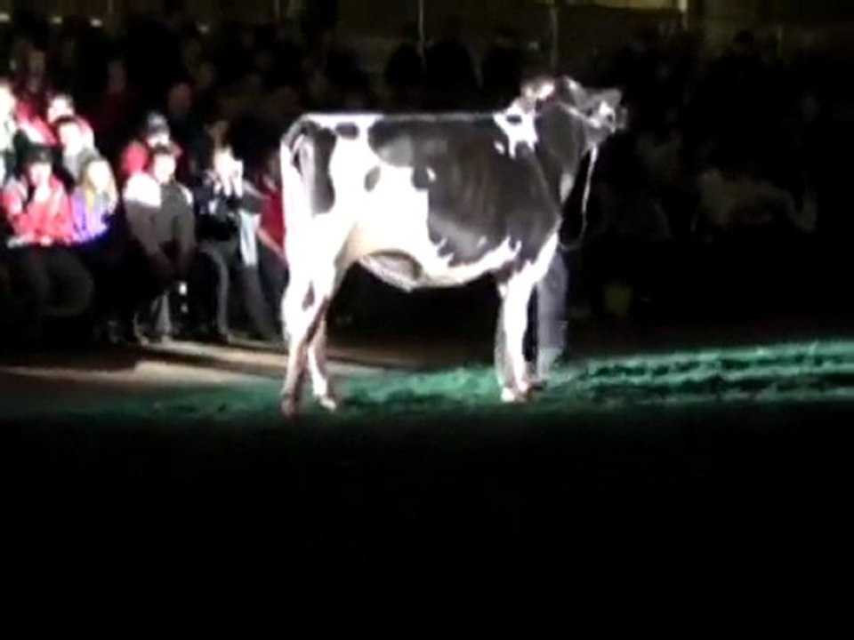 Open Show Génisses 2009