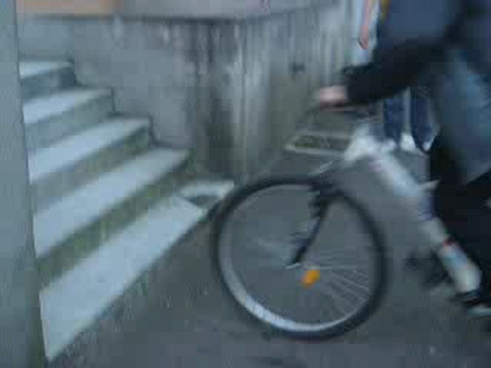 souris en velo