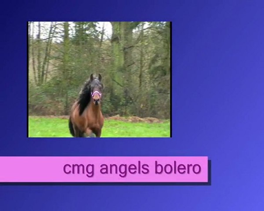 cmg angels bolero