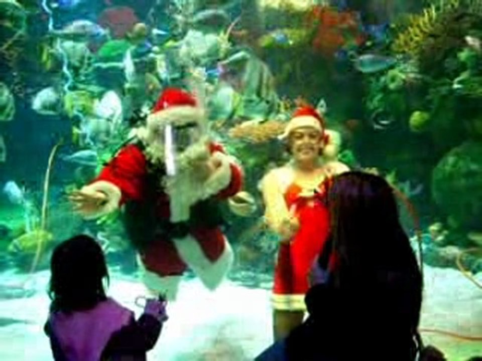 Santa Claus swims in the Silverton Casino Lodge Aquarium