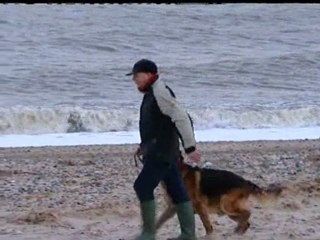 Government pens European wind farm deal