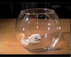 les dents de la mer ziouuuuuuuuuuup