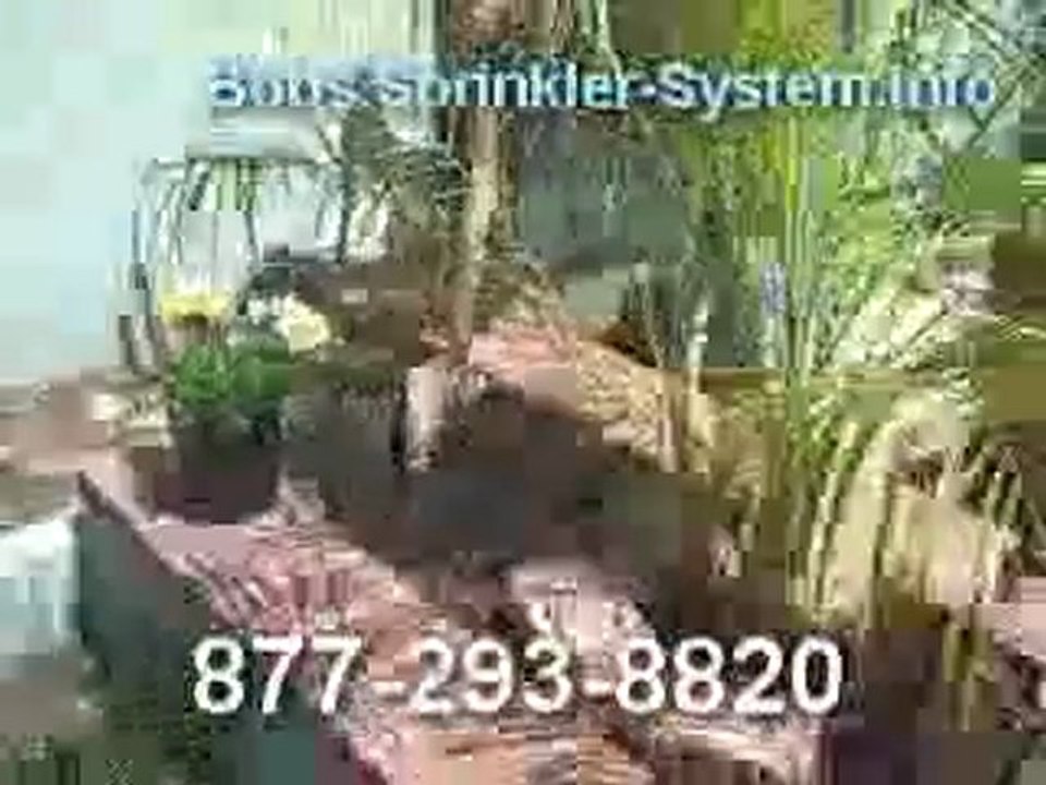 Consultations in San Diego