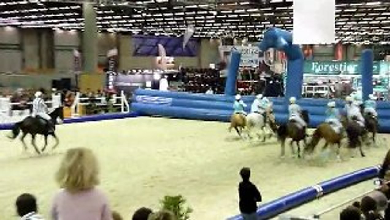 Salon du cheval de Paris 2009 - Horse ball