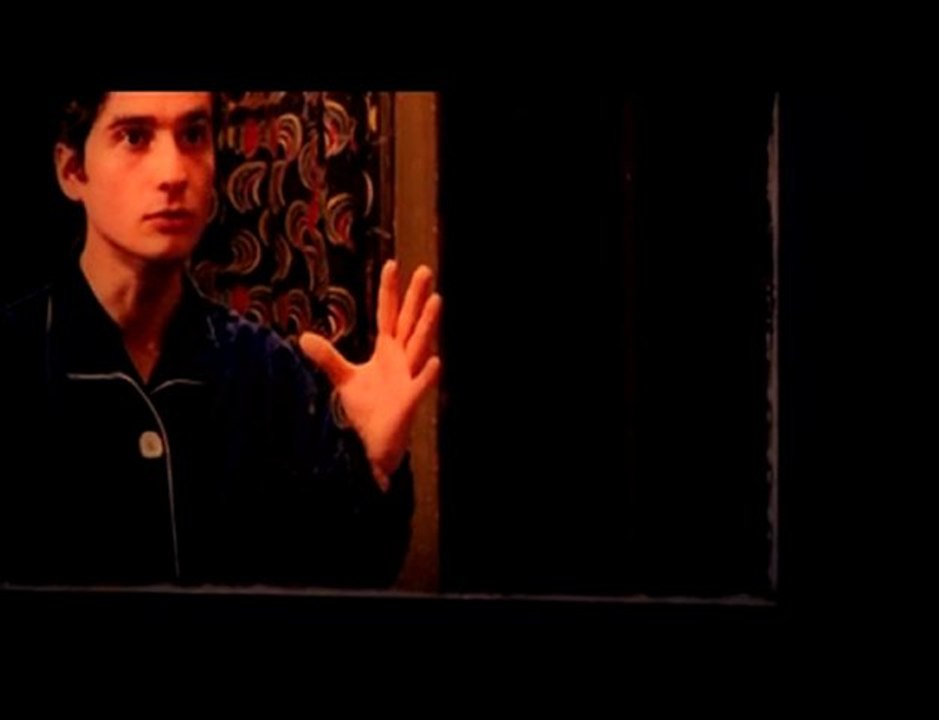 Vincent Delerm 23 janvier - 18 juillet 2009