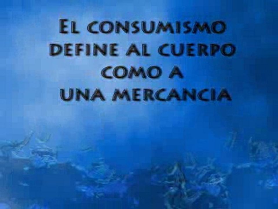 Cuerpos
