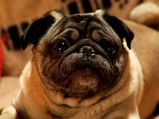 Comment foirer un rendez-vous amoureux ?