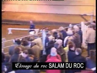 salam du roc
