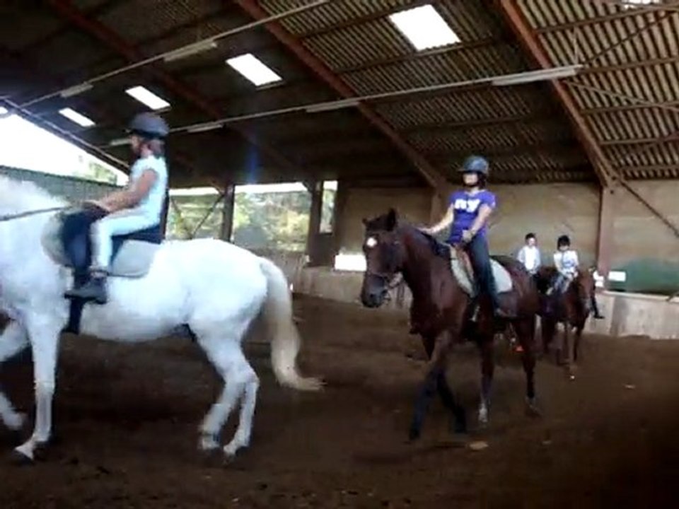 un cours d'équitation section débutante .