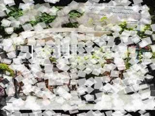 les parasols sur 13paris.com