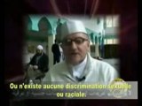 notre chemin à l'islam pourquoi ont-ils choisi l'islam?