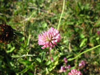 Couleurs de la nature