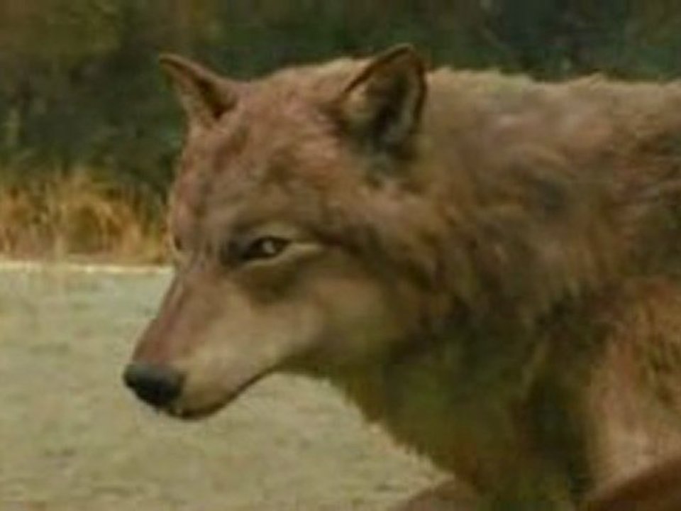 The Twilight Saga - New Moon - TV Spot Never Hurt You