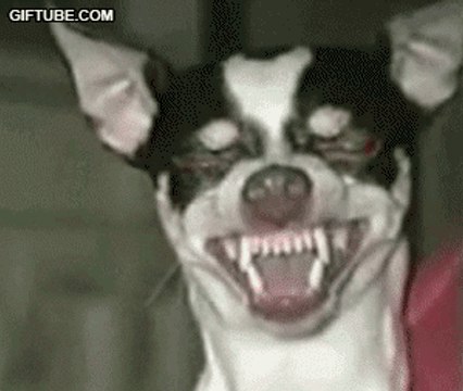 Neophyte Records All Stars at Nightmare 5-12-2009