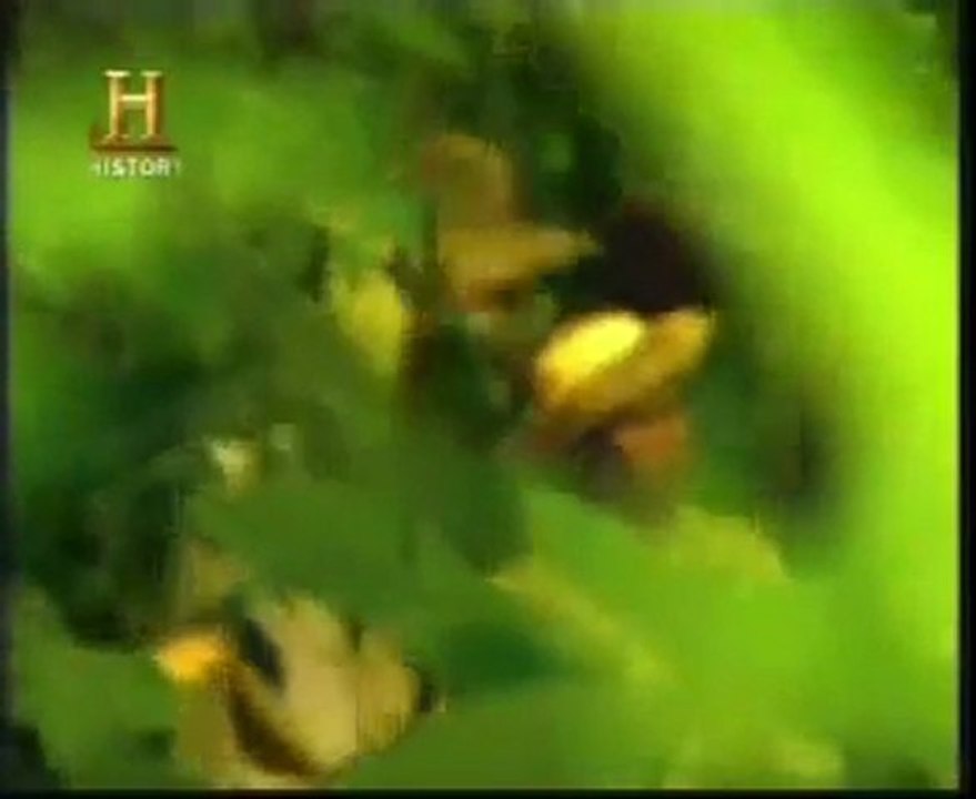 Historia del Canal de Panama parte 1