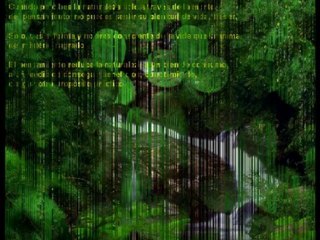 Video 88 EL SECRETO en youtube, pelicula, video, dvd, tv