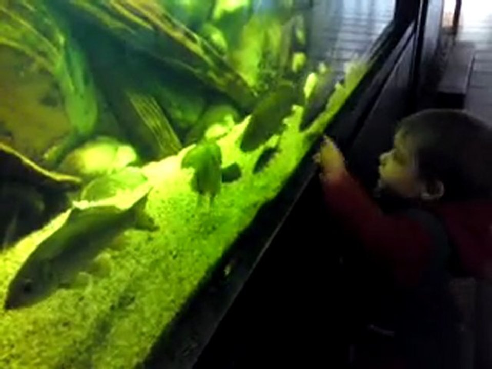 erwan à l'aquarium