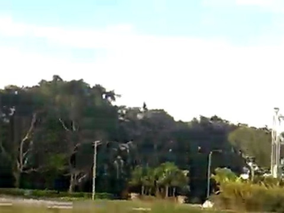 NEAR MIS & CRASH