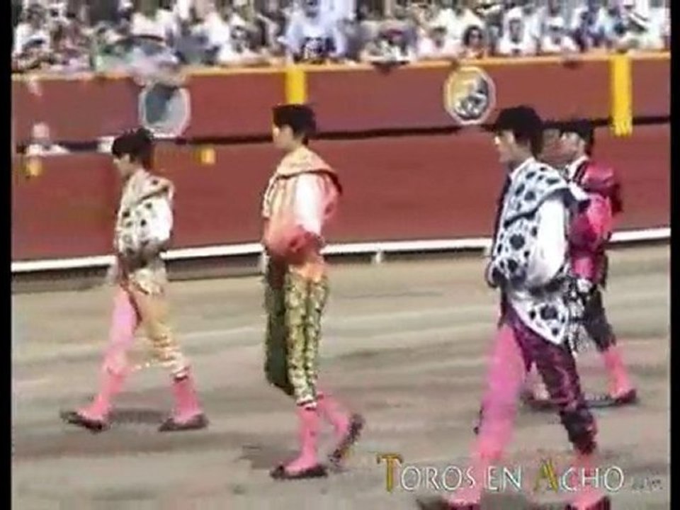 Mejores faenas de la ultima de abono - TOROSENACHO.COM