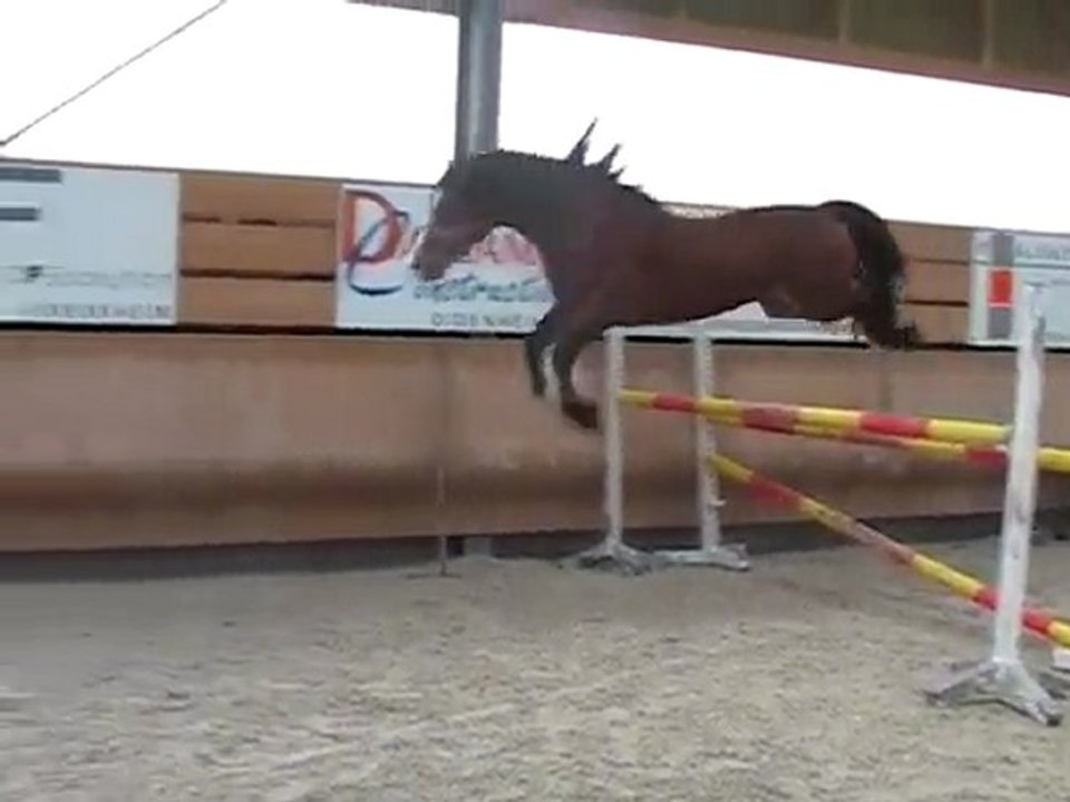 sangui jumps-desktop