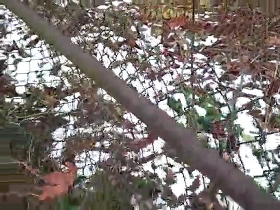 1724 Highland in Kalamazoo MI is for sale