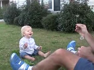 Brise d'automne - Aiken - Nov 2009