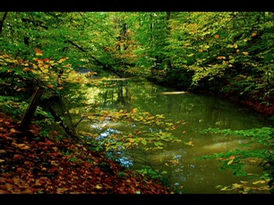 İFSAD VİDEO